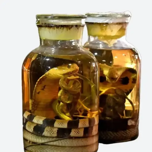 眼鏡王蛇藥酒（700毫升）